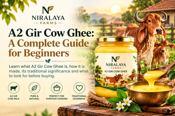 A2 Gir Cow Ghee: A Complete Guide for Beginners