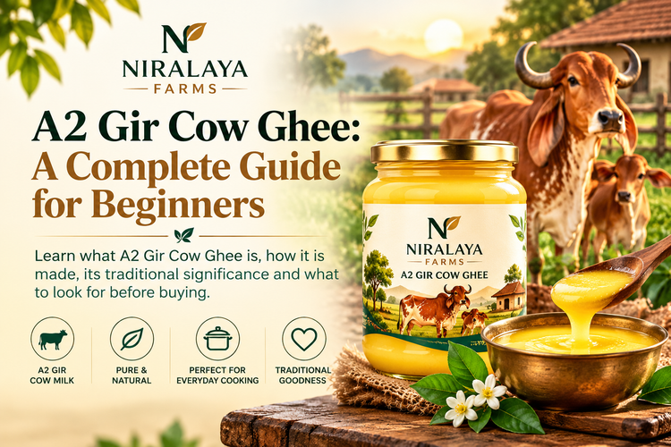 A2 Gir Cow Ghee: A Complete Guide for Beginners